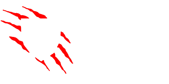 logo-horizontal Ibhubesi Security